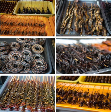 Exotic Treats on Wanfujing Food Street
