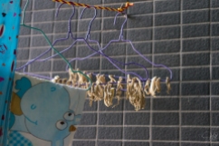 A laundry line: for drying your clothes, seaweed, veggies and sausage.
